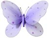butterfly theme wedding favor accessories