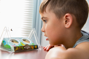 live butterfly rearing kit