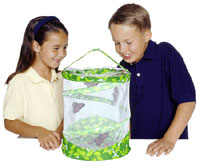 butterfly monarch rearing kit life cycle poster grow raise butterflies