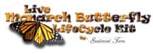 butterfly monarch rearing kit life cycle poster grow raise butterflies