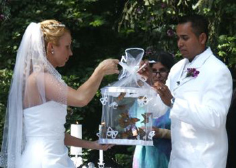 releasing live butterflies at wedding