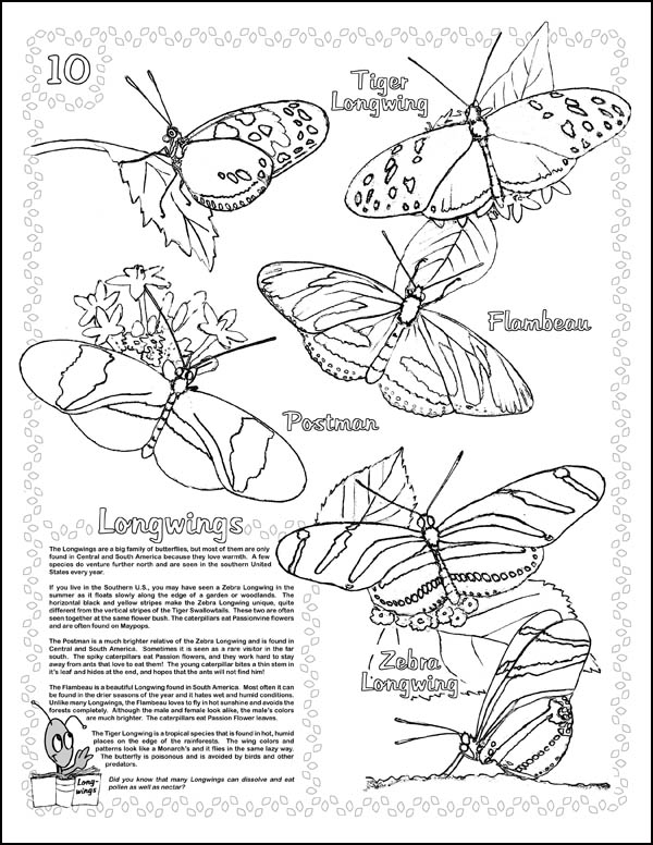 butterfly life cycle coloring pages