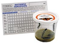 butterfly monarch rearing kit life cycle poster grow raise butterflies