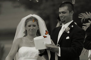 butterfly release