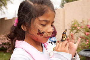 butterfly release