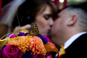 butterfly release