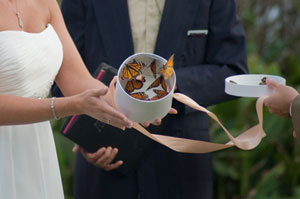 butterfly release