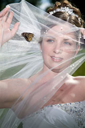 butterfly release