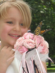 butterfly release