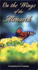 Live Monarch Butterfly Rearing Kit butterfly kit live butterfly kit monarch butterfly chrysalis educational school kit classroom party favor releasing butterfly butterfly wedding decoration butterfly themed wedding live butterfly release butterfly wedding accessory butterfly releasing wedding live wedding butterfly wedding monarch butterfly life cycle poster swallowtailfarms.com