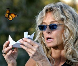 farrah fawcett releases live butterfly from designer butterfly release box