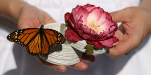 butterfly release box floral design wedding brides maid