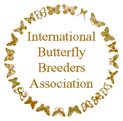 butterfly breeders association