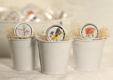 butterfly seed tin favor