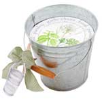 butterfly garden pail herb