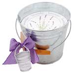 butterfly garden pail