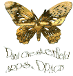 Paul Chesterfield, ARPS, DPAGB.