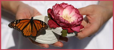 butterfly release wedding butterflies brides maid