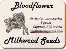 Seed packet label