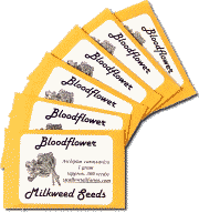 Bloodflower Milkweed Seed packets