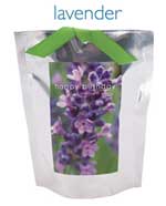 butterfly garden gift in a bag