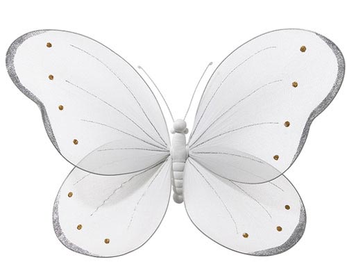 the white butterfly