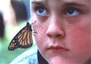 Boy & Monarch