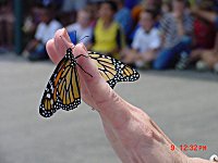 Mabank, Texas, Spring 2001