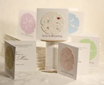 plantable paper favor beach theme folded card