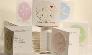plantable paper favors for beach theme