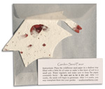 plantable paper favor holiday and graduation shapes - graduation cap