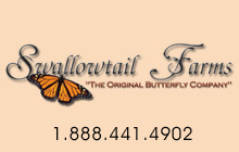 live butterfly releases for weddings, funerals, memorials, and plantable seed paper favors