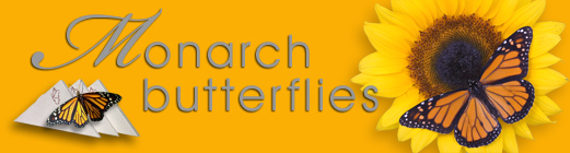 monarch butterfly releases