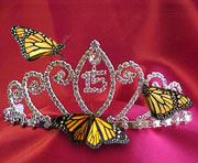 Quinceanera - butterfly themed favors, gifts, and accessories