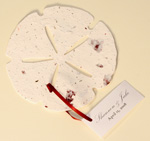 plantable paper favor sand dollar beach theme