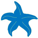 plantable paper beach theme starfish